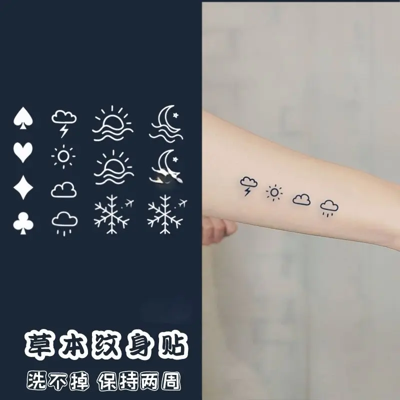 

Временные тату-наклейки на травы, с маленьким рисунком и прогнозом погоды