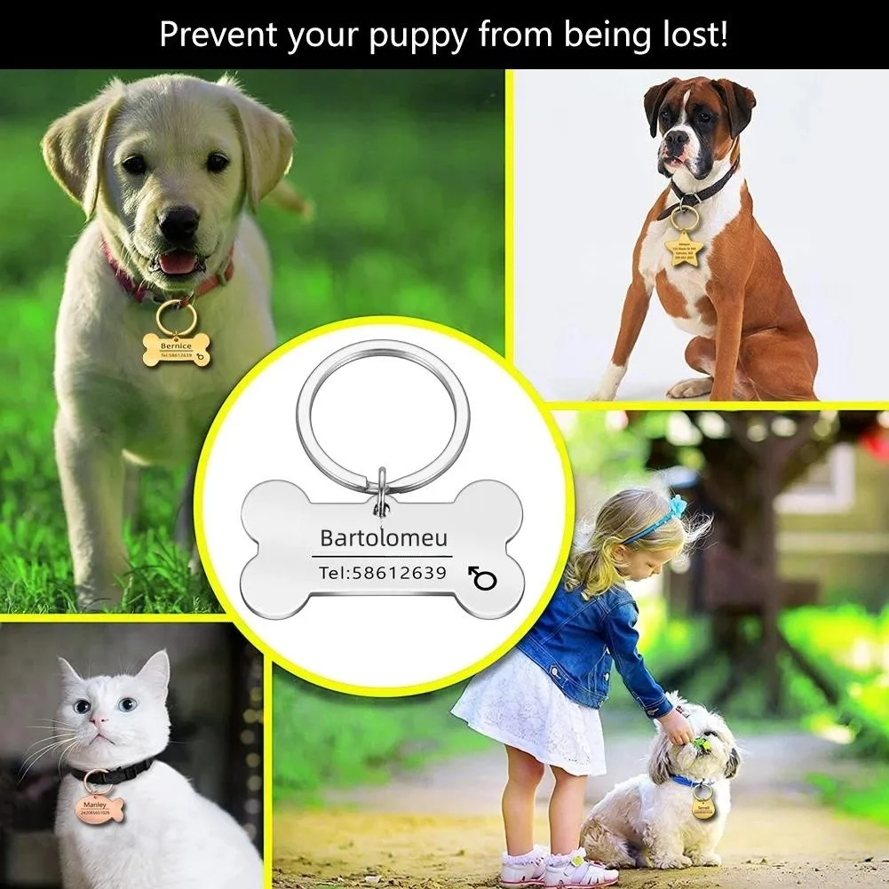 Pet ID Tags Personalized Engraved Cat Dog Anti-lost Collar Charm Engraving Pet Name Collar for Puppy Cats Accessories