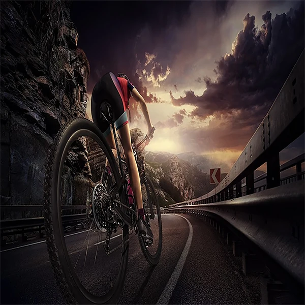 007 Bike Store