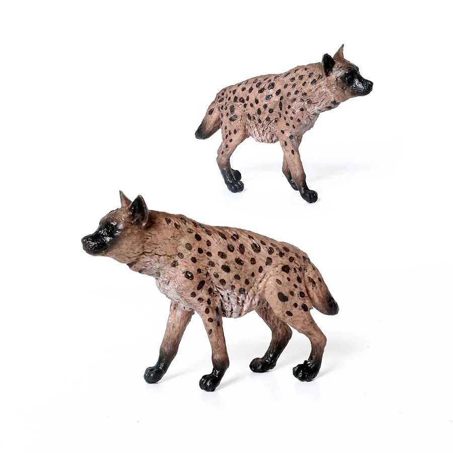 Cucciolo di Leopardo delle nevi, stupendo: … vaccata pubblicata da
