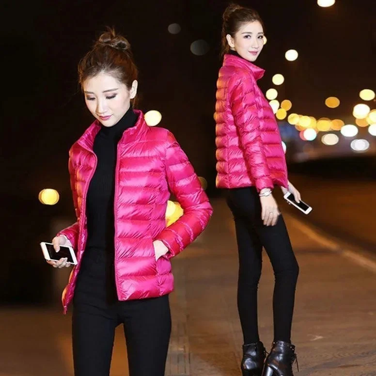 Rose Red stand collar