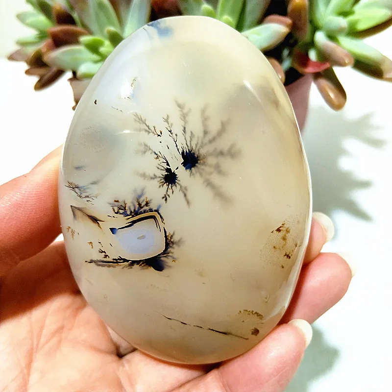 AAA Natural Stone Waterplant Plant Small Tree Agate Palm Stone Spiritual Meditation Yoga Cure Feng Shui Crystal Room Ornament 5