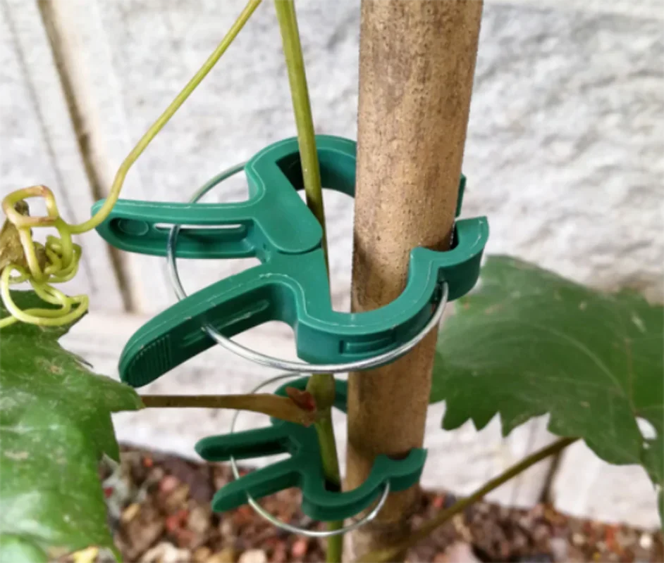 20Pcs Reusable Green Garden Plant Fixed Clips for Greenhous Vegetables Flowers Stem Vines Grape Clamp Support Straighten Stems