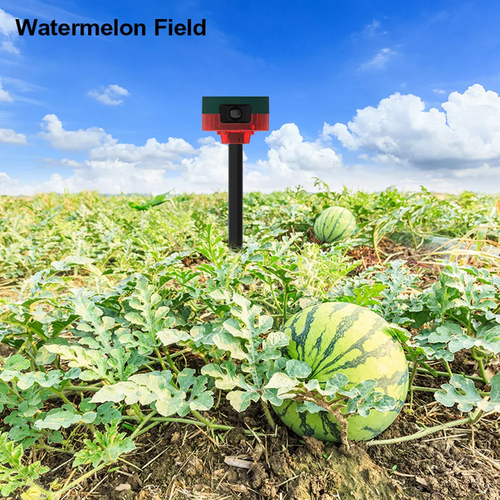 Solar Wild Animal Repeller 360-degree Induction Alarm 1200mAh Pigeon Bird Repellent Recordable IP55 for Wild Boar Rabbit Deer