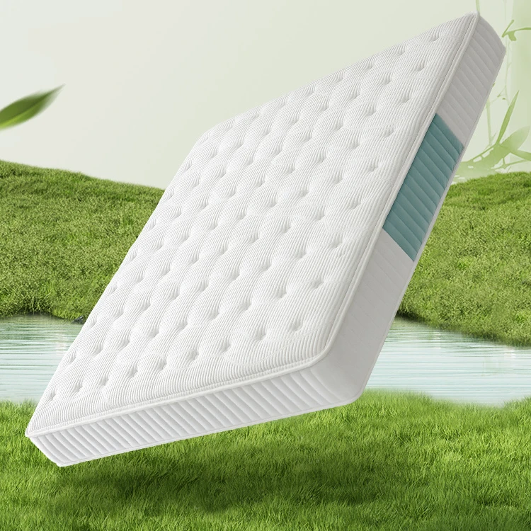 Modern minimalism style design household mattress spring coir fiber mattress topper