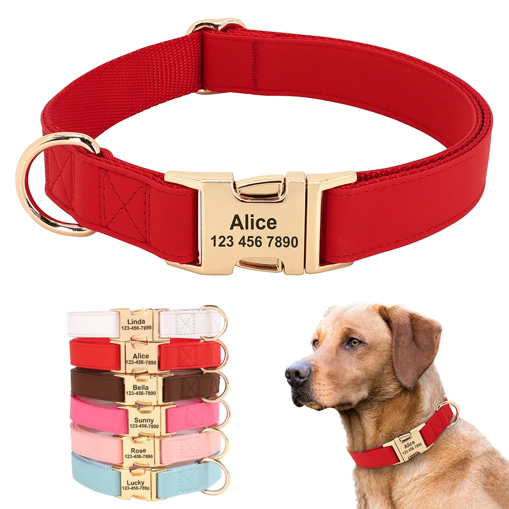 Large Pet Collar & Leash Set