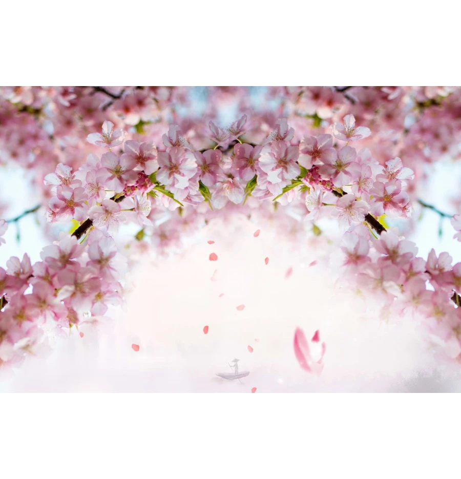 Cherry Blossoms Over Blurred Nature Background. Spring Flowers Spring  Background With Bokeh Butterfly Image347965115, image size:900x935