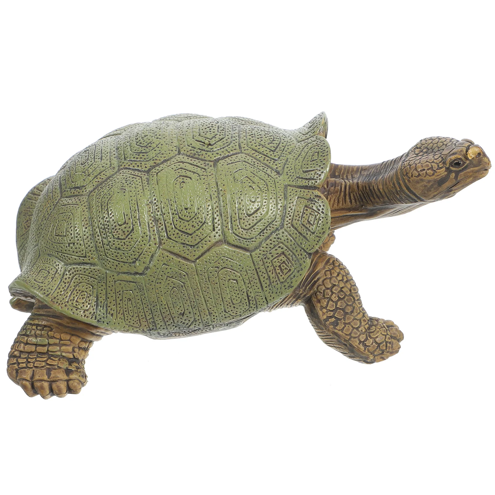 

Realistic Turtle Figurine Fake Turtle Figure Simulated Animal Figure Model Turtle Statue