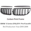 Carbon Print