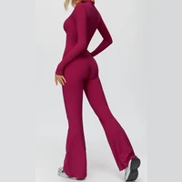 Women Autumn Winter Fleece-Lined Yoga Jumpsuit Women Pilates Running Fitness Clothing Long-Sleeved Outdoor Sports Coveralls - Image 3