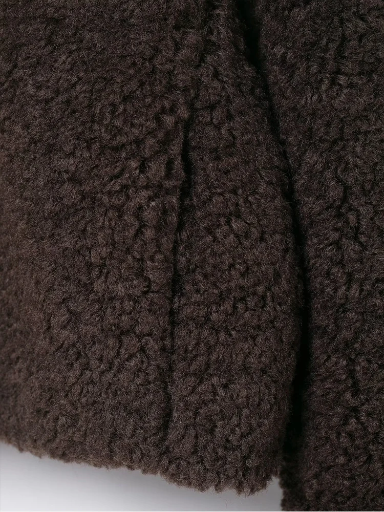 Women Winter Lamb Wool Short Coat Thicken Warm Long Sleeve Turtleneck Street Wear 2025 New Fashion Ladies Solid Zipper Jackets