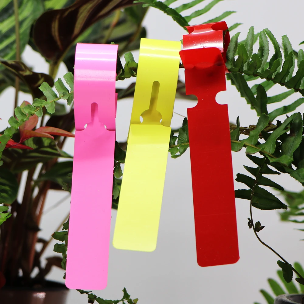 High Quality Garden Planting Nursery Hang Tags Plastic Identification Card Waterproof Ring Set Markers Reusable Labels