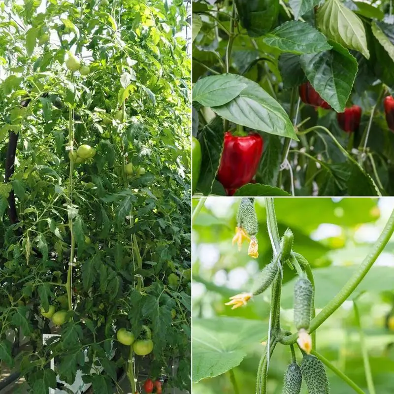 6/10Pcs Plant Roller Hook Tomato Trellis Roller Hooks Tomato Support Hooks For Plant Greenhouse Hook