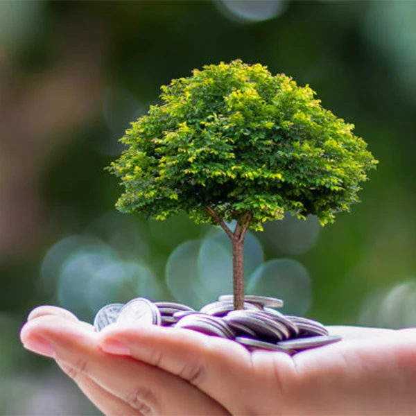 Green Eco Household Goods Store Store