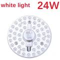 24W Cold White