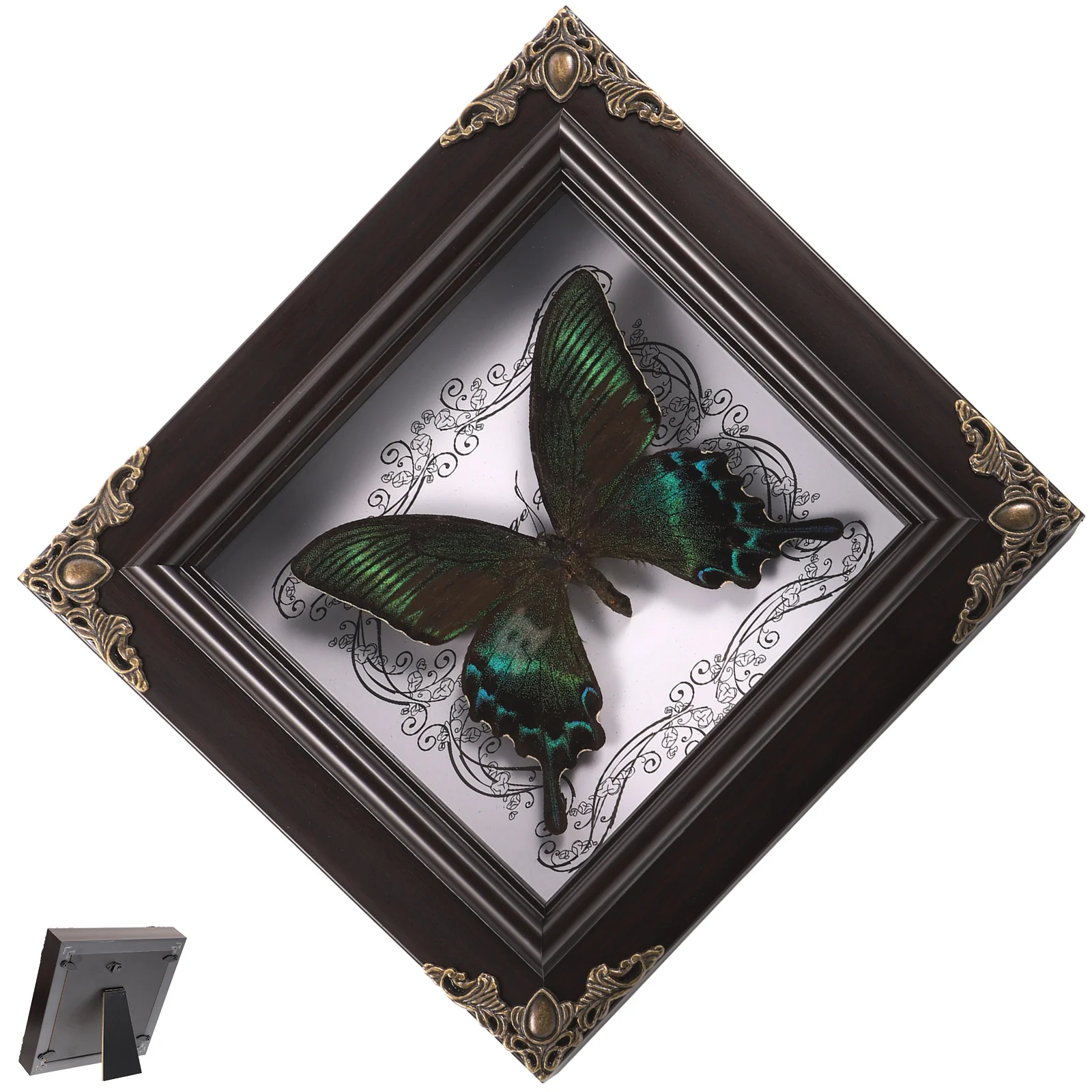 

Display Shelves Butterfly Specimen Photo Frame DIY Frames Framed Holder Handmade Wall Hanging Office