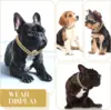 Luxury Gold Cat Necklace Jewelry Rhinestone Pet Cuban Chain Collar Kitten Doggie Wedding Prom Costume Accessories for Cats Puppy 6