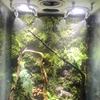 2pcs Aquarium Humidifying Spray Accessories Rainforest Tank Sprinkler,Misting Cooling nozzle, End Plug, Tube, Filter 5
