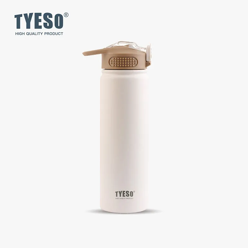 

TYESO TS-8770B/8771B 530 мл/750 мл вакуумная Изолированная бутылка для сохранения холодного и горячего воздуха с ручкой