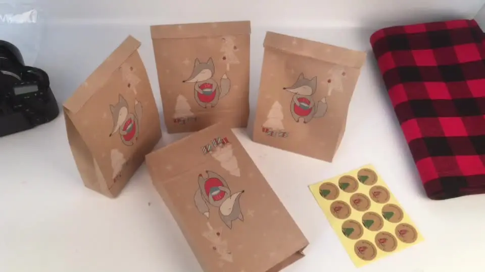 Lot De 12 Sacs Cadeaux De Noël - Avec Anses - Motif Sapin De Noël Et