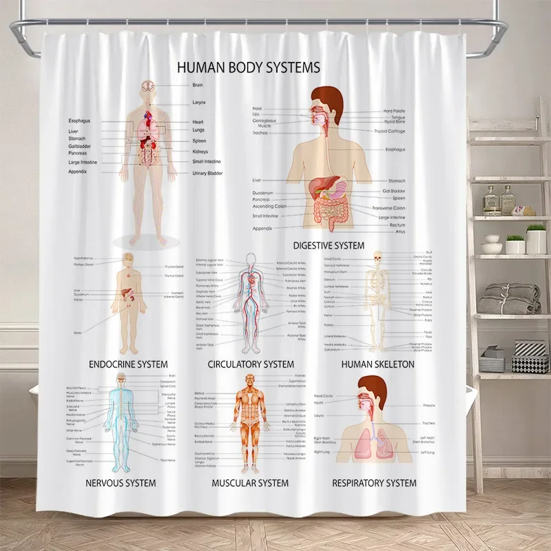 Periodic Table Shower Curtain Modern Fun Chemistry Elements For Students Home Decor Polyester Fabric Bathroom Curtain With Hooks 3