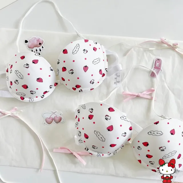 Sanrio Hello Kitty Bra Push Up Bras Women Ultra Lace Bralette Permeability  Seamless Maternity Bra Adjustable Beauty Back Bra