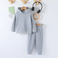 2025 Fall Winter Children Hooded Tracksuits Suits 1-86Y Toddler Boys Girls Clothing Suit Solid Plush Sweater & Sports Pants Set 2