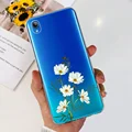 Case-c62