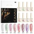 Bk cat eye gel kit