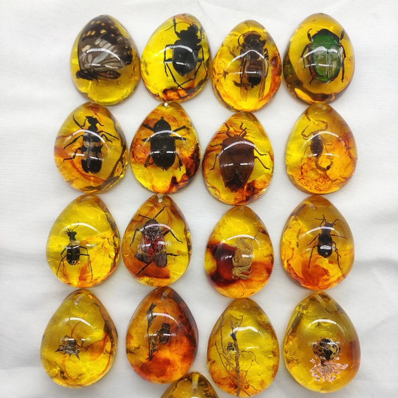 Resin Crafts 1PC DIY Insects Amber