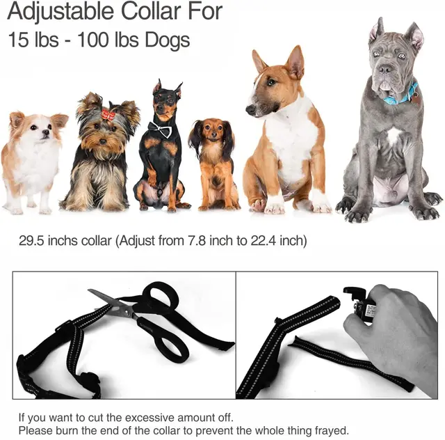 Collier chien d'entraînement pour chien, télécommande électrique – Image 5