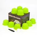 Fruit green-10pcs