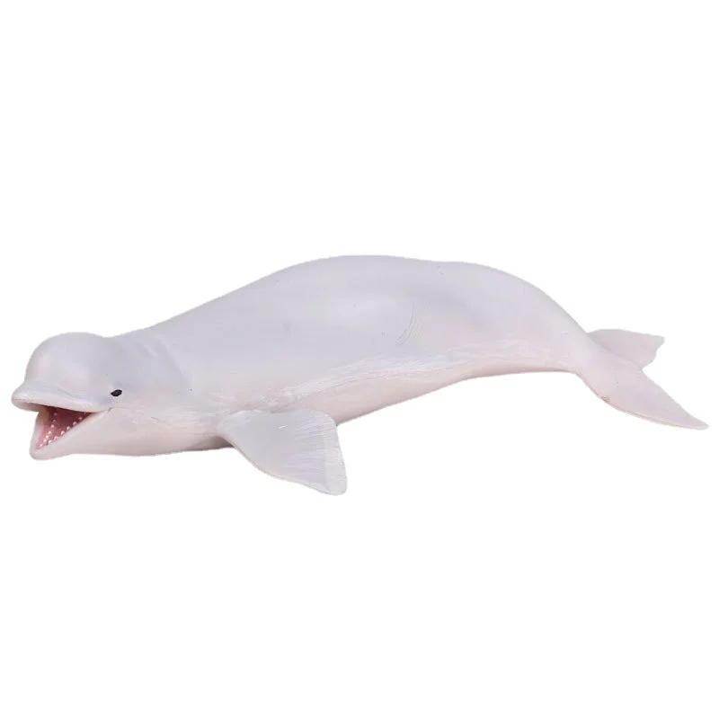 

Simulated solid beluga whale ocean static plastic whale model toy Children's cognitive early education props toy