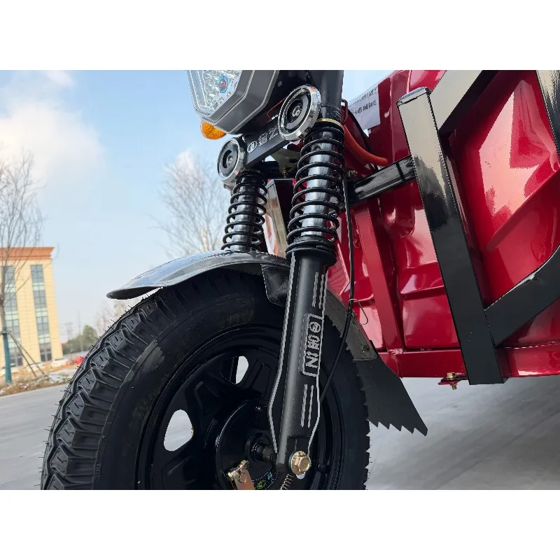 Triciclo Elettrico ad Alta Capacità per Trasporto Merci e Pendolarismo, Motocicletta a Tre Ruote, Triciclo Elettrico Durevole per Trasporto Merci e Passeggeri - immagine 6