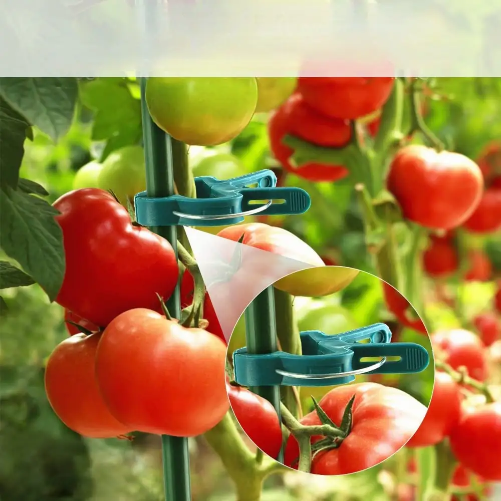 10 Reusable Plant Clips Eight Buckles Weatherproof and RustproofIdeal for Tomato Cucumber Pepper MelonPlant Stem Support Tool