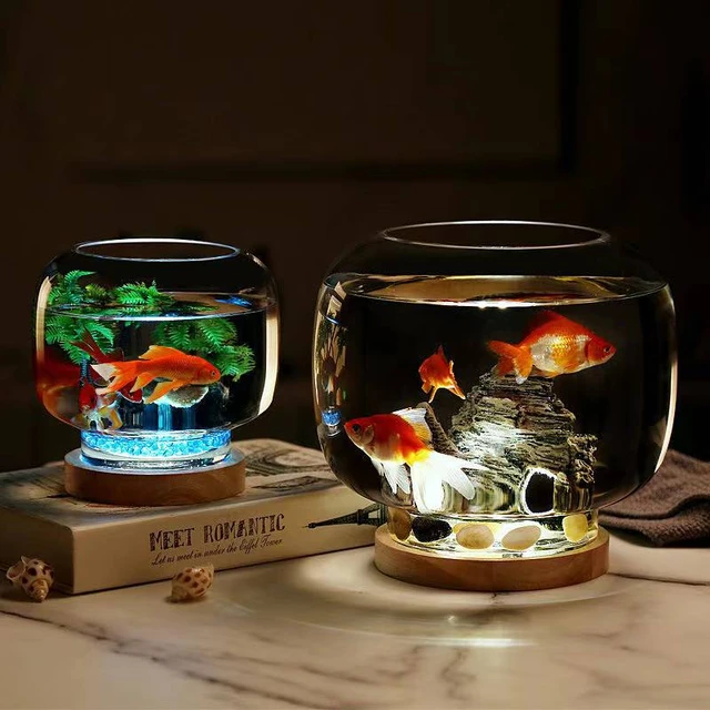 Aquarium Glass Tank Goldfish, Small Fish Tank Goldfish