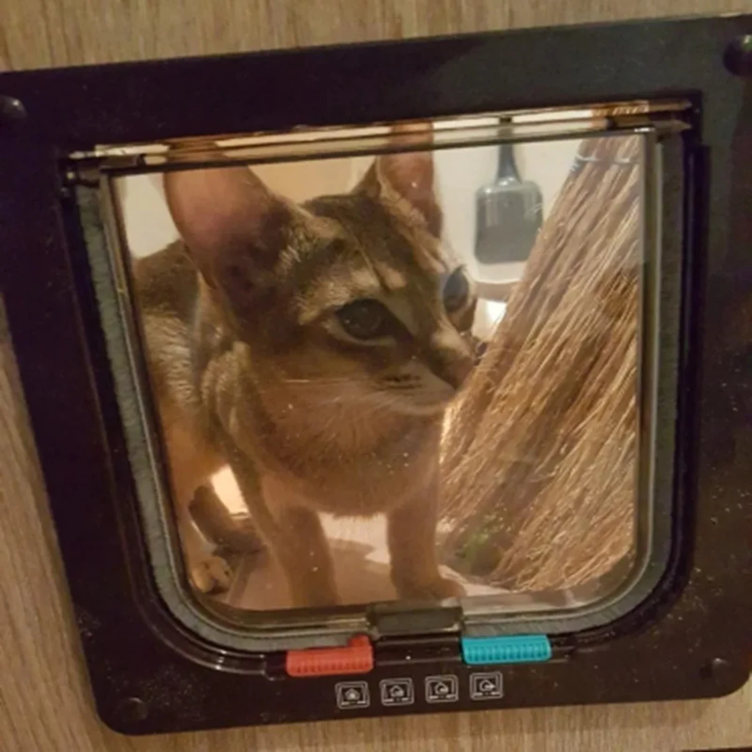 Dog Cat Flap Door with 4 Way Lock Pet Cat Gate Security Flap Door For Animals Plastic Small Dog Gate Pet