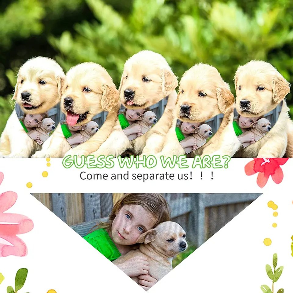 DIY - Een leuke bandana voor je allerbeste vriend of vriendin! - Dog Chef