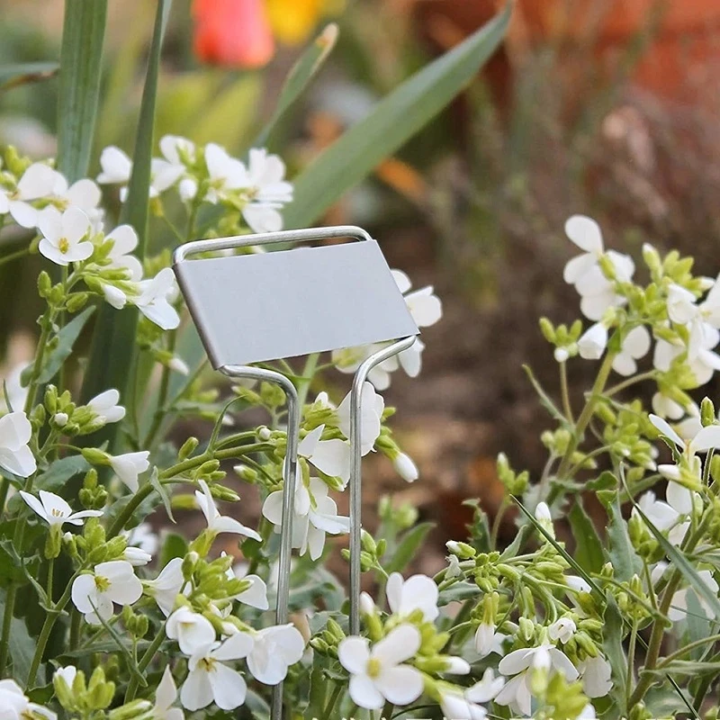 Description Picture 6 of item10/20Pcs Metal Plant Labels Handwritten Seedling Tags Aluminum Stake for Garden Flowers Vegetables Supplies 4/6/8/10Inch