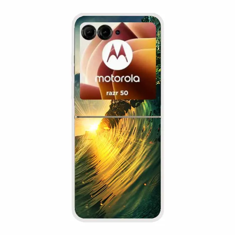 Cartoon Design Transparent Hard Plastic Back Cover Case