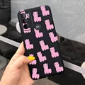 Case-c43