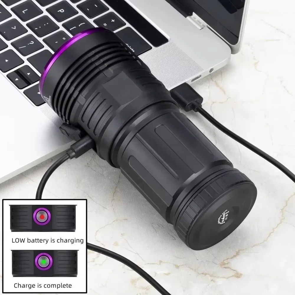 Portable UV Flashlight 365nm 80W for Pet Stains Detection