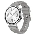 Grey-silver