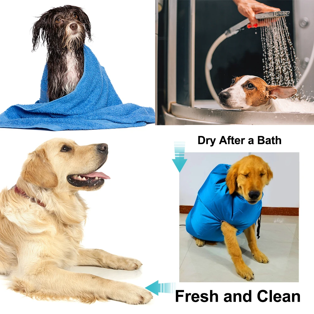 Folding Dog Hair Dryer and Grooming Bag