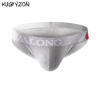 Slip en coton pour hommes, sous-vêtements taille basse Sexy pour hommes, slip Jockstrap pour homme, sous-vêtement respirant, Bikini, Lingerie pour hommes 1