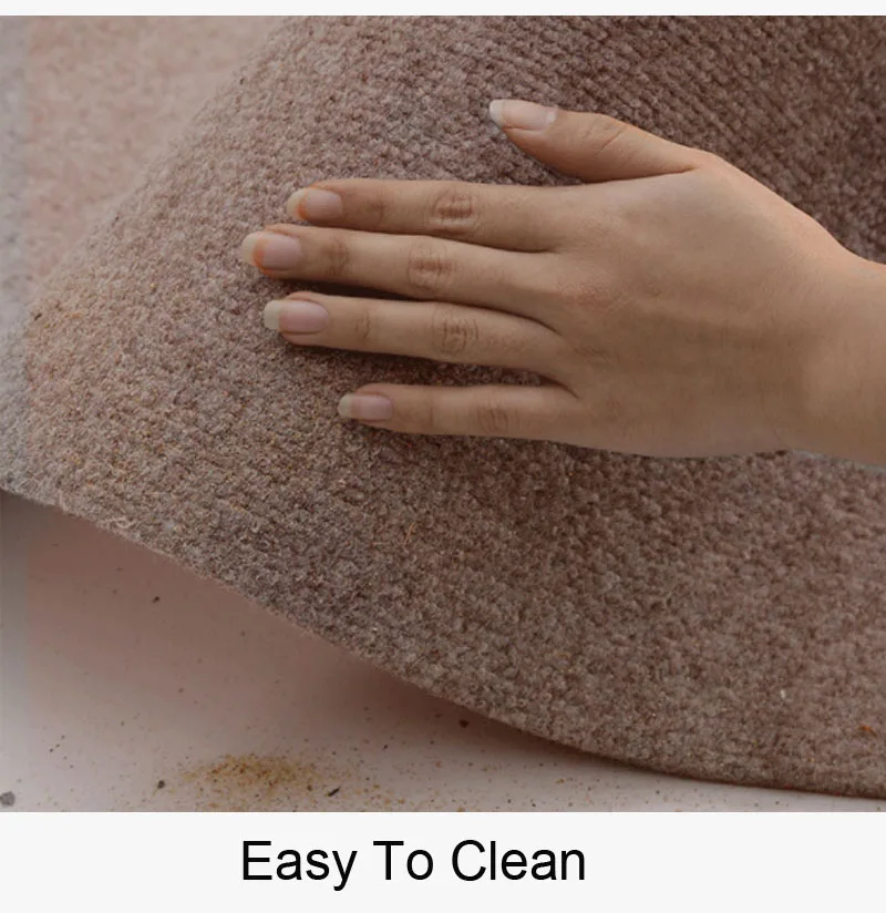 MEELRYD Tapis De Salon, Tapis De Sol De Beauté Pour Coiffeur