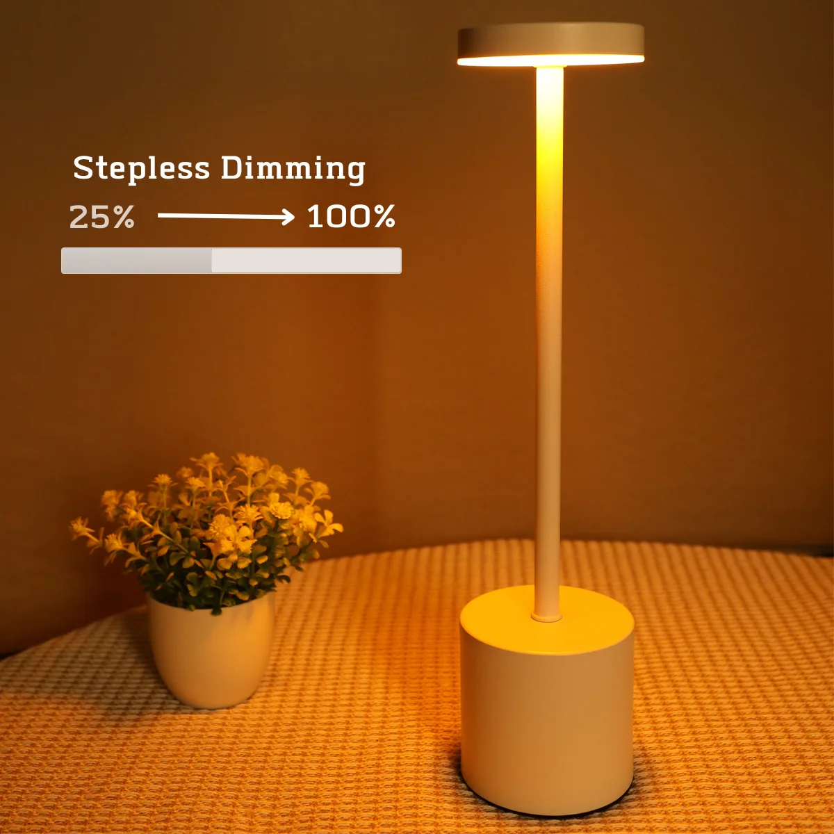 USB Metal Rechargeable Desk Writing Lamp Room LED Bedside Decorative Table Lamp Restaurant Bar Desktop Mood Lighting Night Light 5