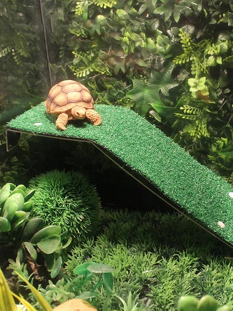 Turtle Basking Platform Simulation Grass Ramp Tortoise Resting