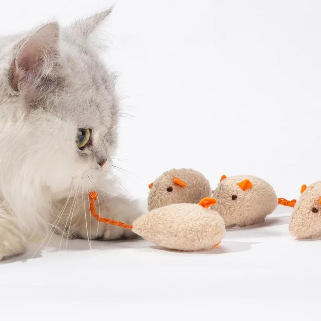Cat Toy Cat Videos For Cats To Watch Mice Mouse Best Videos For