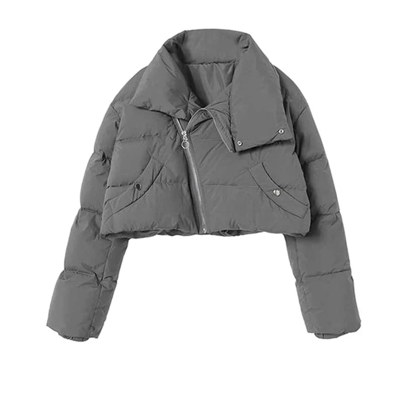cotton-padded clothes for women  2022 winter short cotton-padded clothes design zipper high collar windproof thickened coat